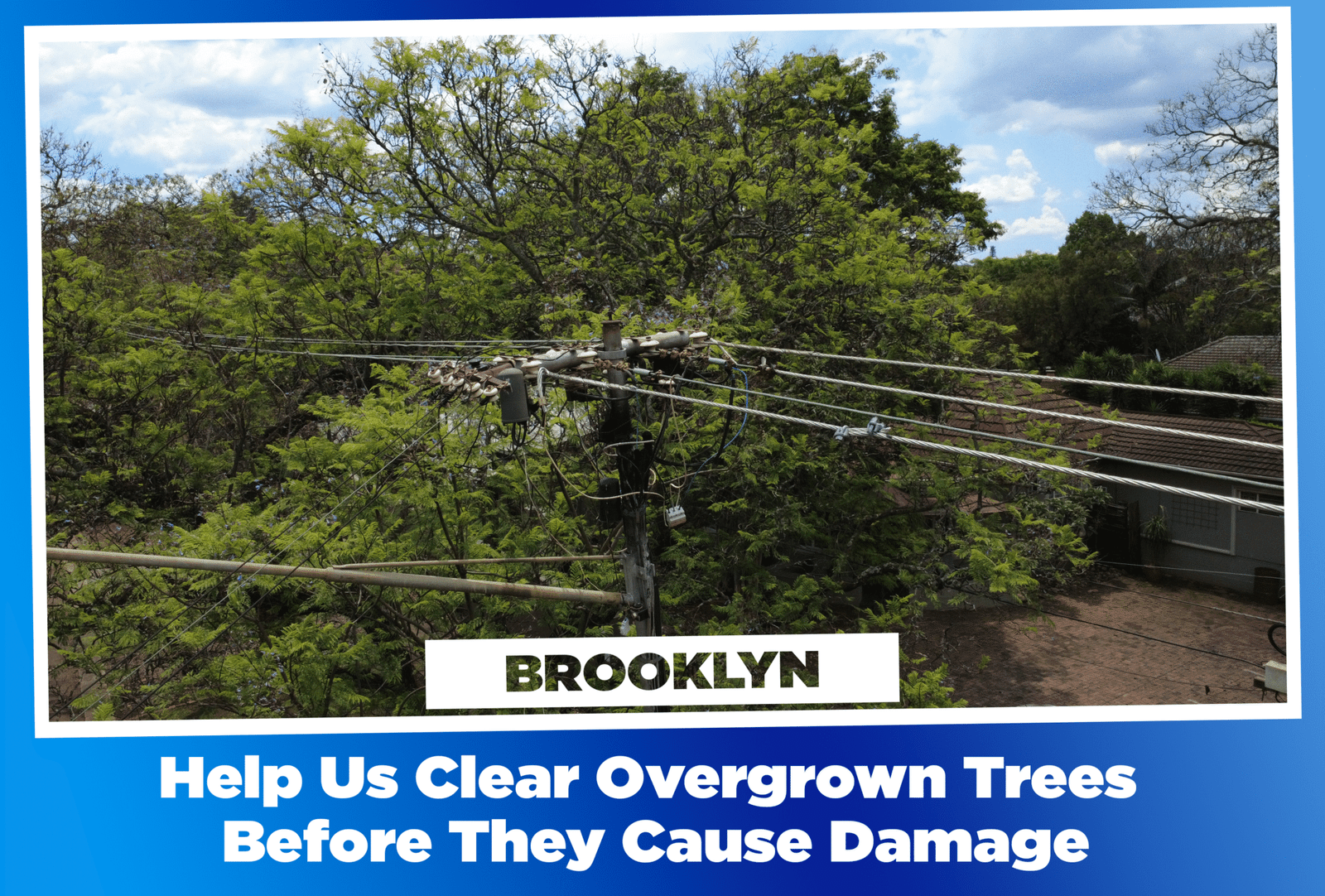 Brooklyn Power Line Petition