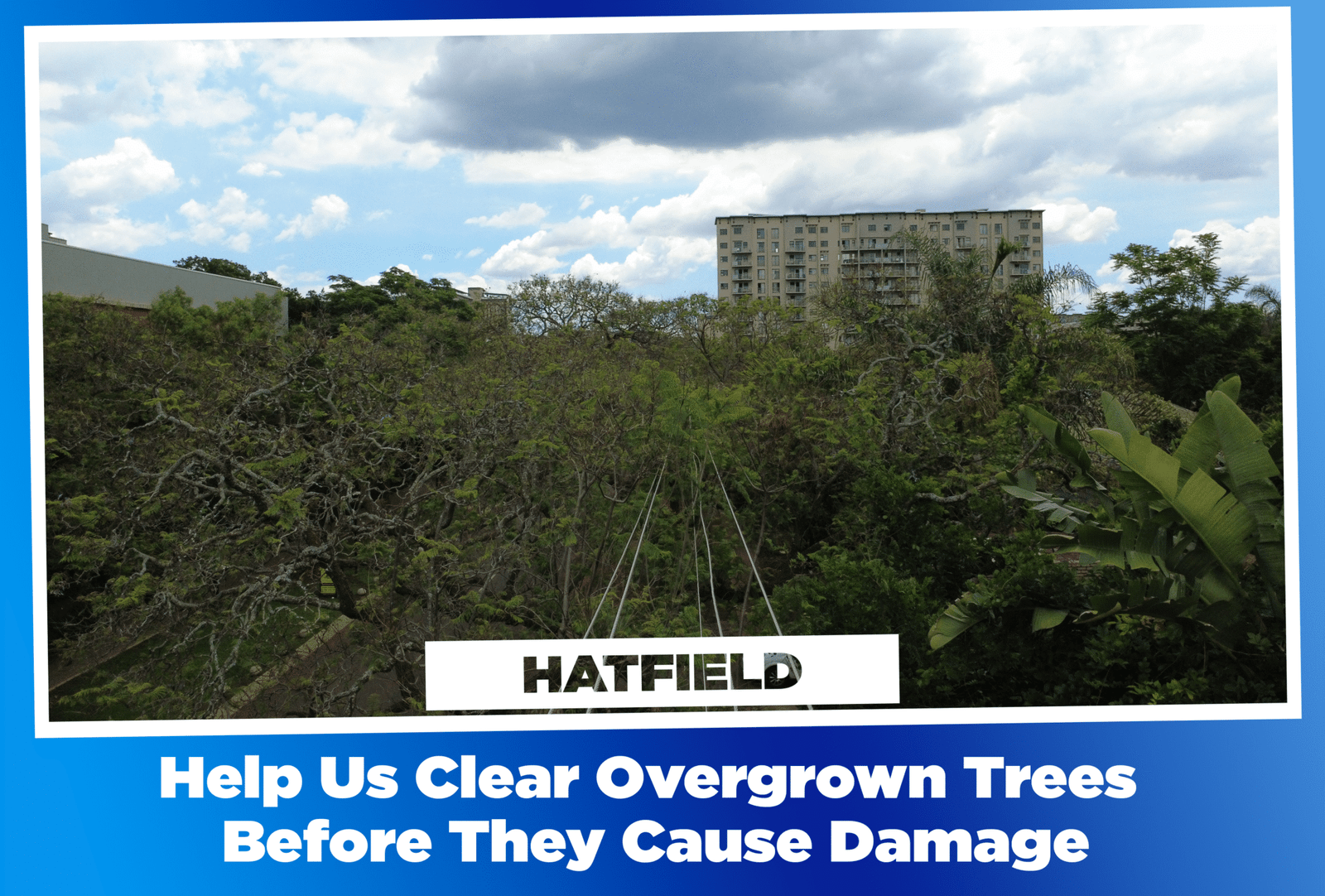 Hatfield Power Line Petition